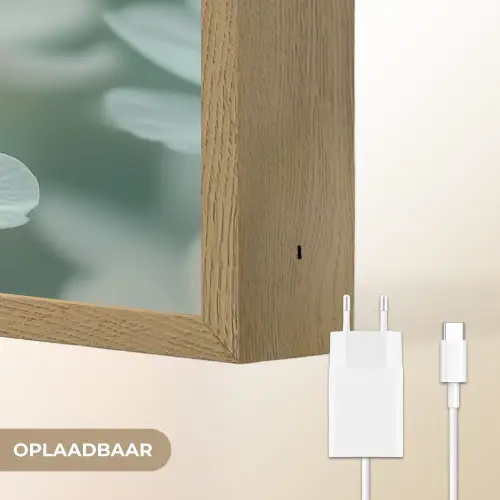 Lieveheersbeestje - Bloemen - Wit Light Box met batterij (Wandlamp) middel -USP_websiteoplaadbaarNL