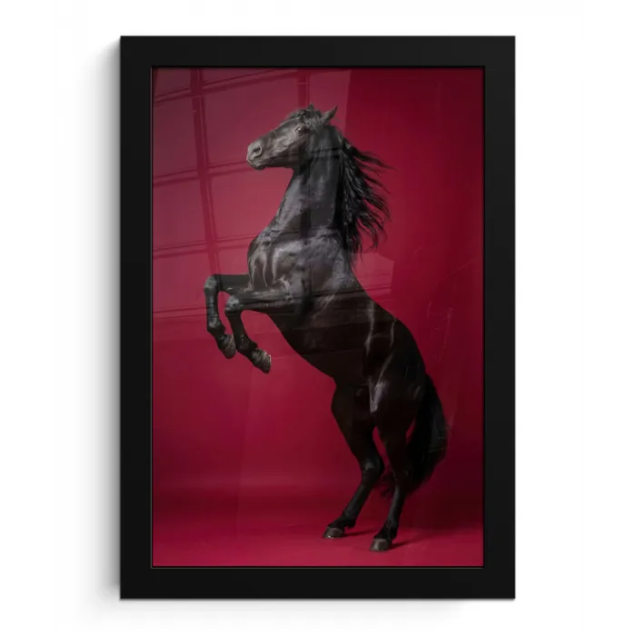 Hengst - Steigert - Rood fotolijst zwart zonder passe partout klein -3d
