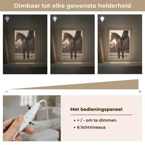Harmonie - Ruiter - Zon Light Box met kabel (Tafellamp) klein -USP_dimbaarNL