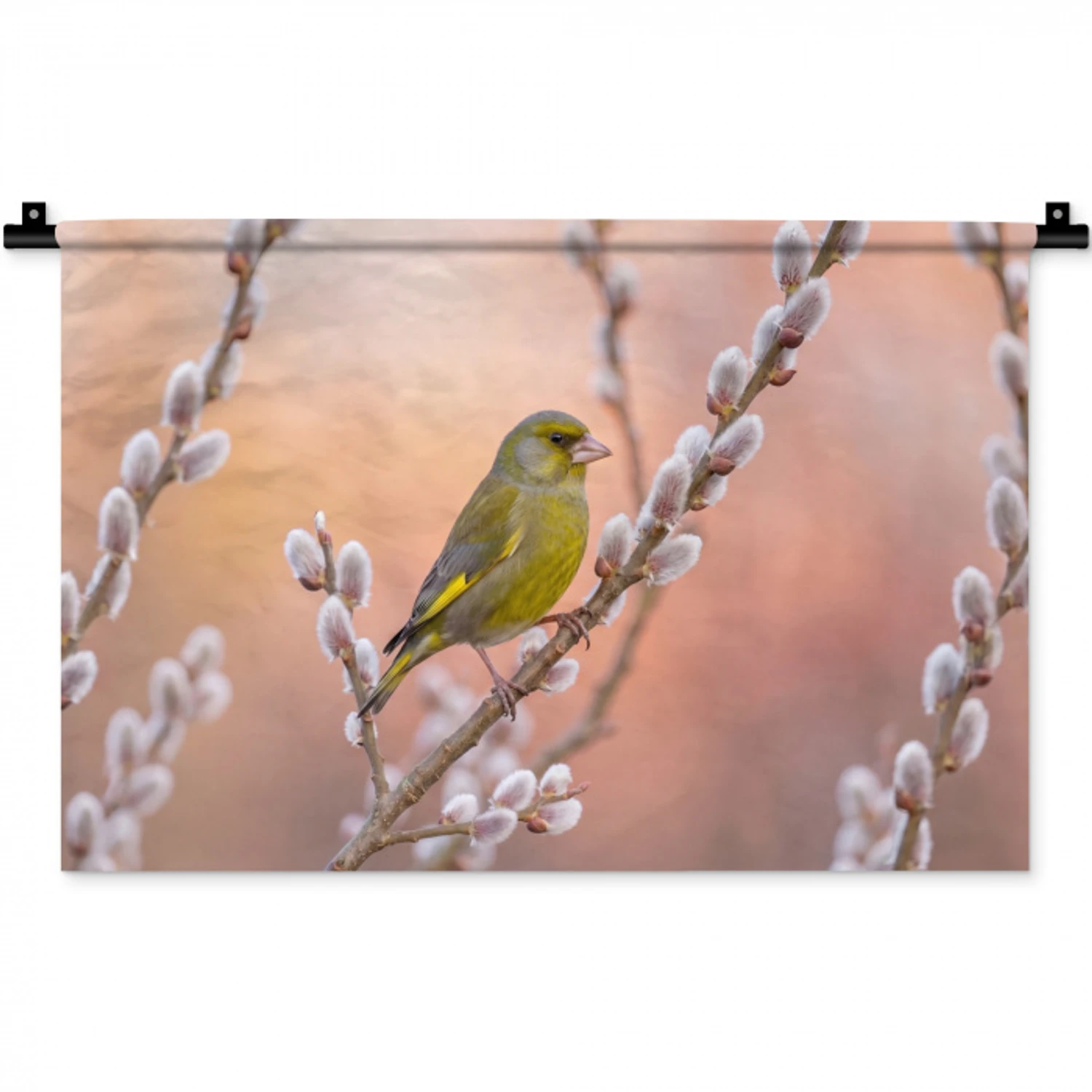 Groenling - Katjes - Lente - Natuur - Zacht Wandkleed katoen klein -zz3d
