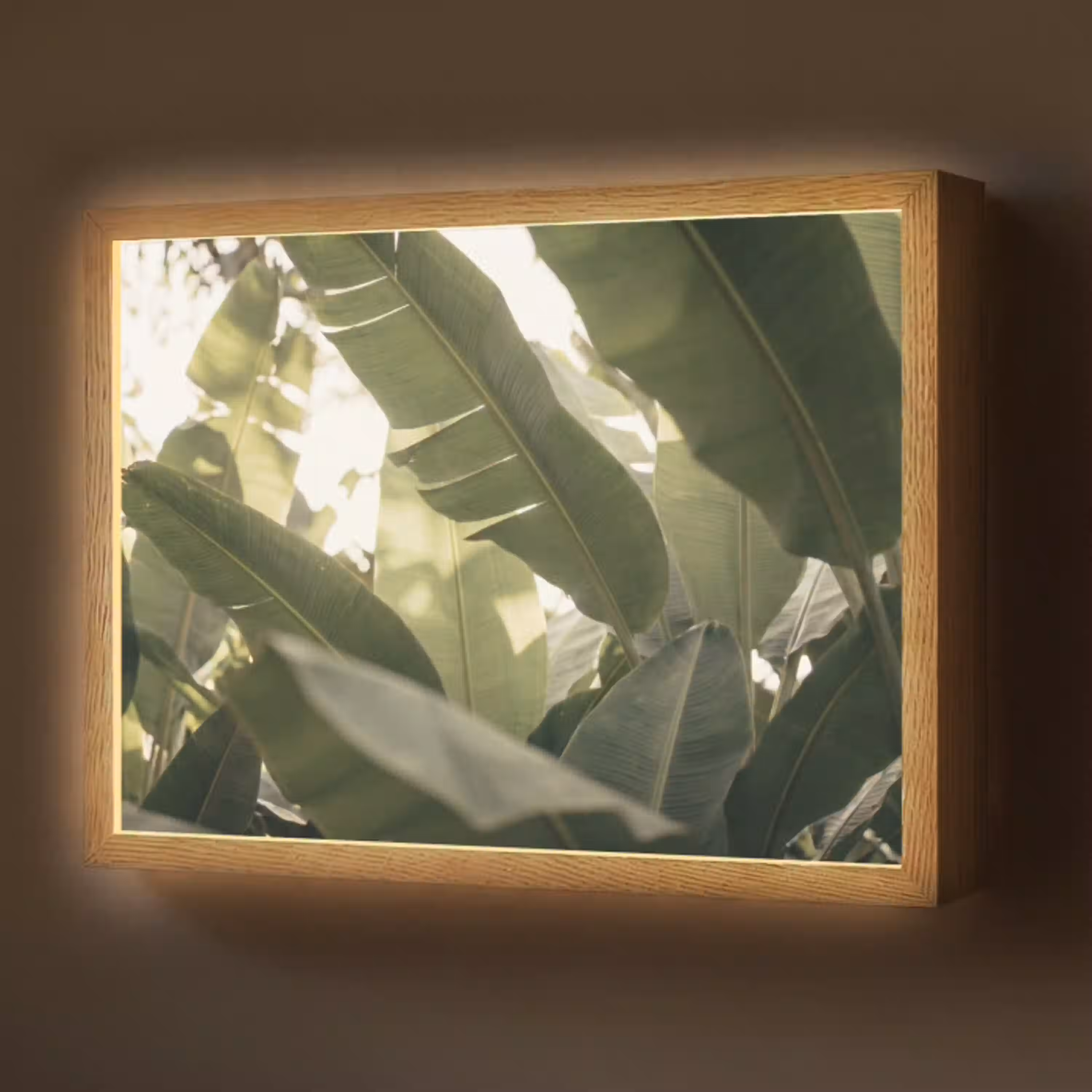Natuur - Bladeren - Groen - Tropisch - Detail Light Box met batterij (Wandlamp) middel -z3d_website