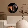 Paarden - Dieren - Portret - Bruin Wandcirkel kunststof plaat 5mm dik klein -sfeer1