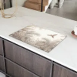 Papagaai - Jungle - Tropisch Inductie beschermer vinyl 3mm klein -sfeer8