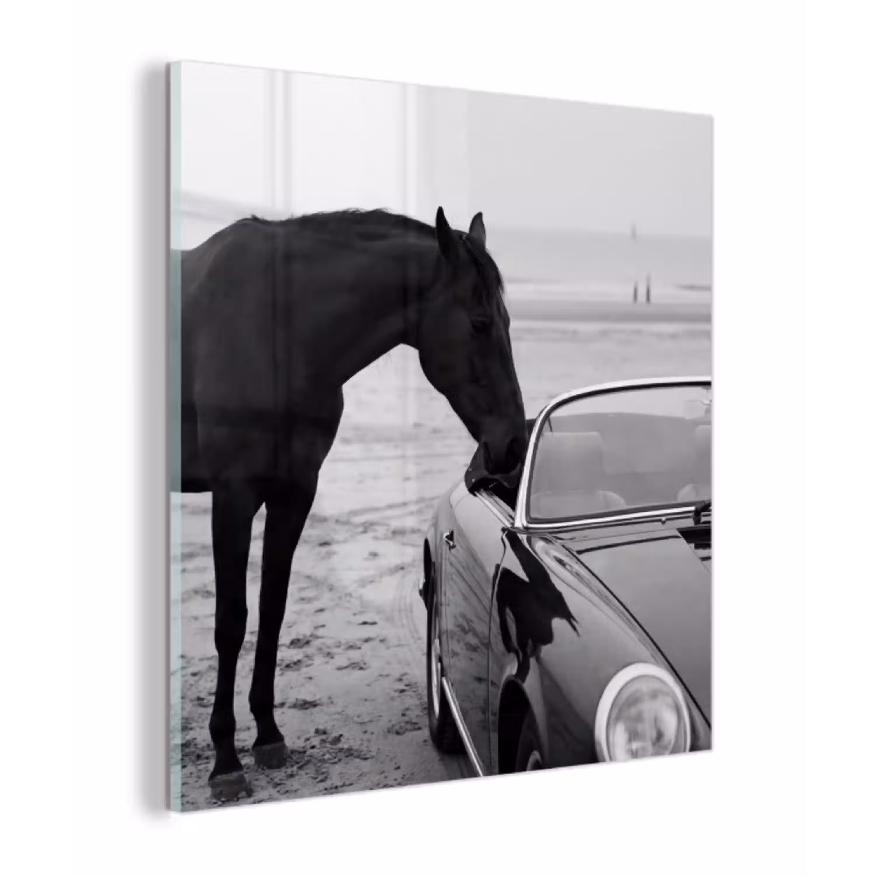 Paard - Auto - Zwart - Wit plexiglas 5mm klein -z3d