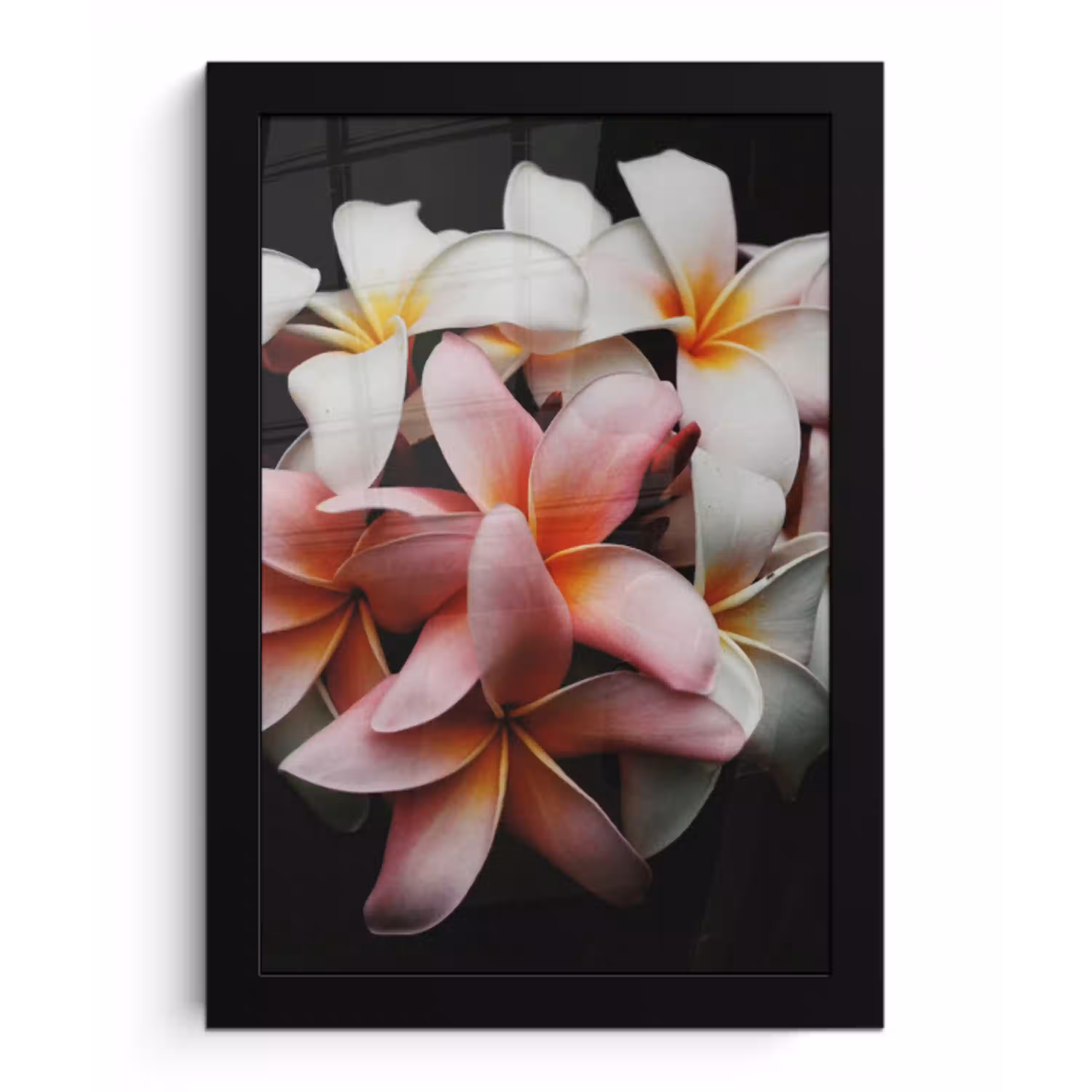 Bloemen - Roze - Zwart - Flora - Botanisch fotolijst zwart zonder passe partout klein -3d