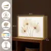 Zonlicht - Paardenbloemen - Natuur - Botanisch Light Box met batterij (Wandlamp) middel -USP_websiteoverzichtNL