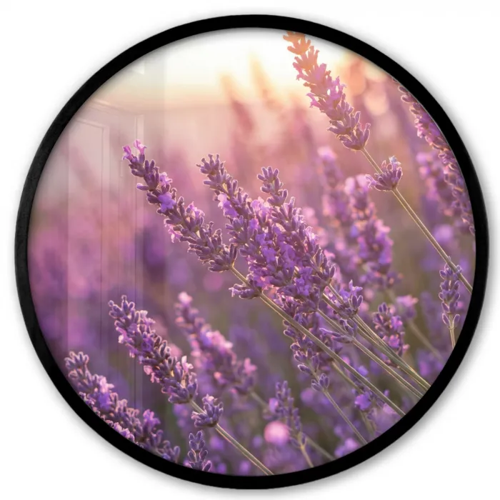 Lavendel - Paars - Zonlicht Fotolijst rond zonder passe partout klein -3d