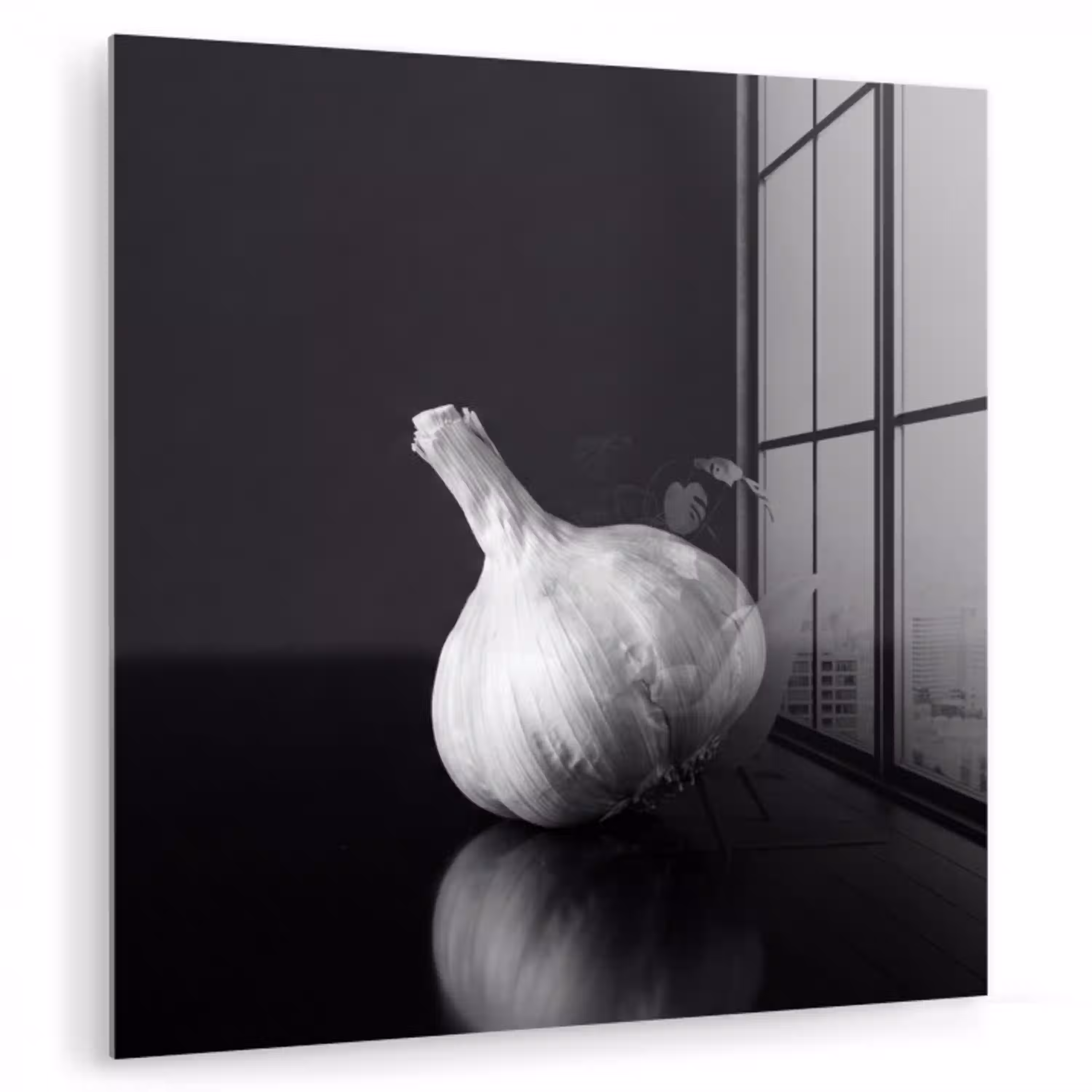 Knoflook - Zwart - Wit plexiglas 5mm klein -zzzproduct_nieuw