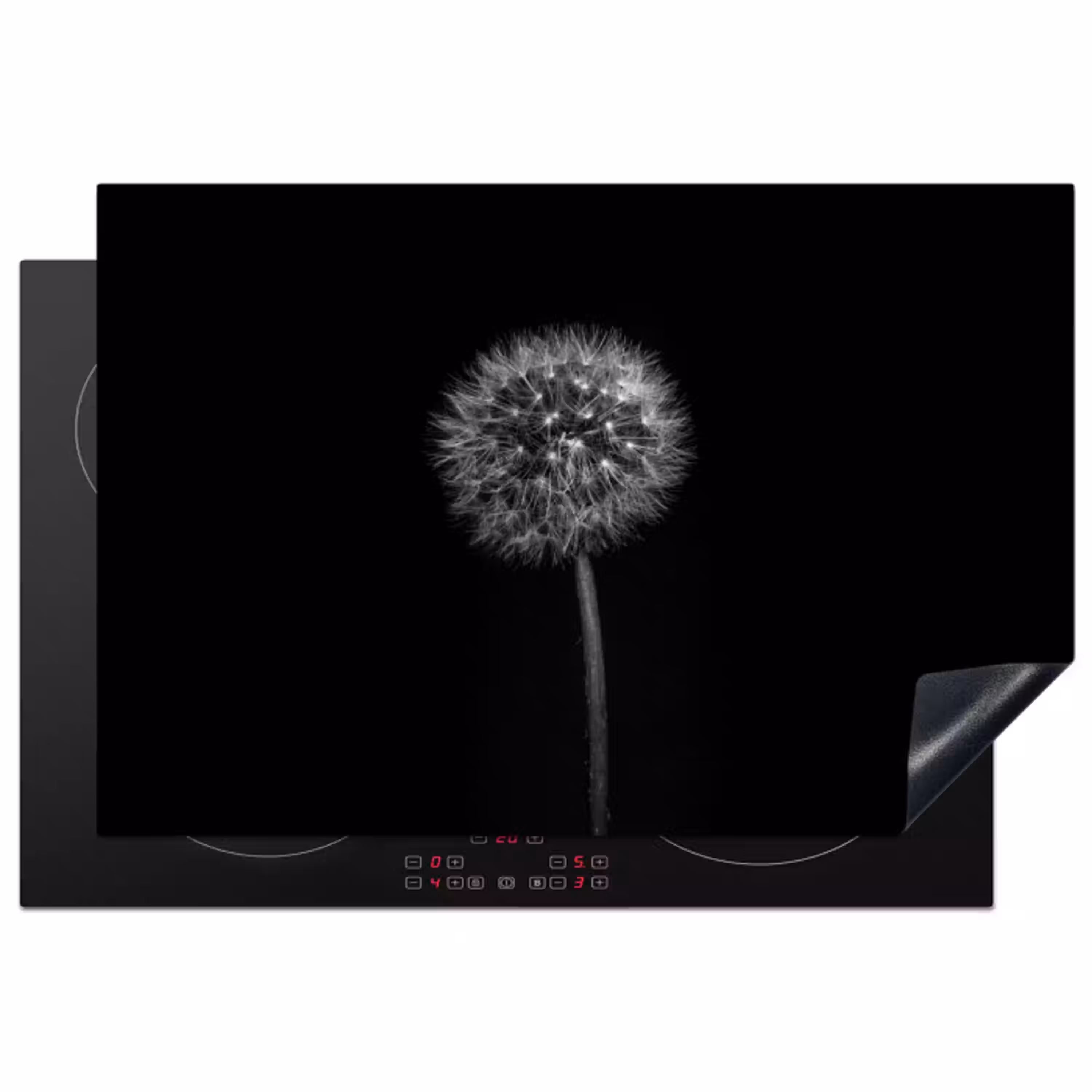 Paardenbloem - Zwart - Bloemen - Botanisch Inductie beschermer vinyl 3mm klein -3d