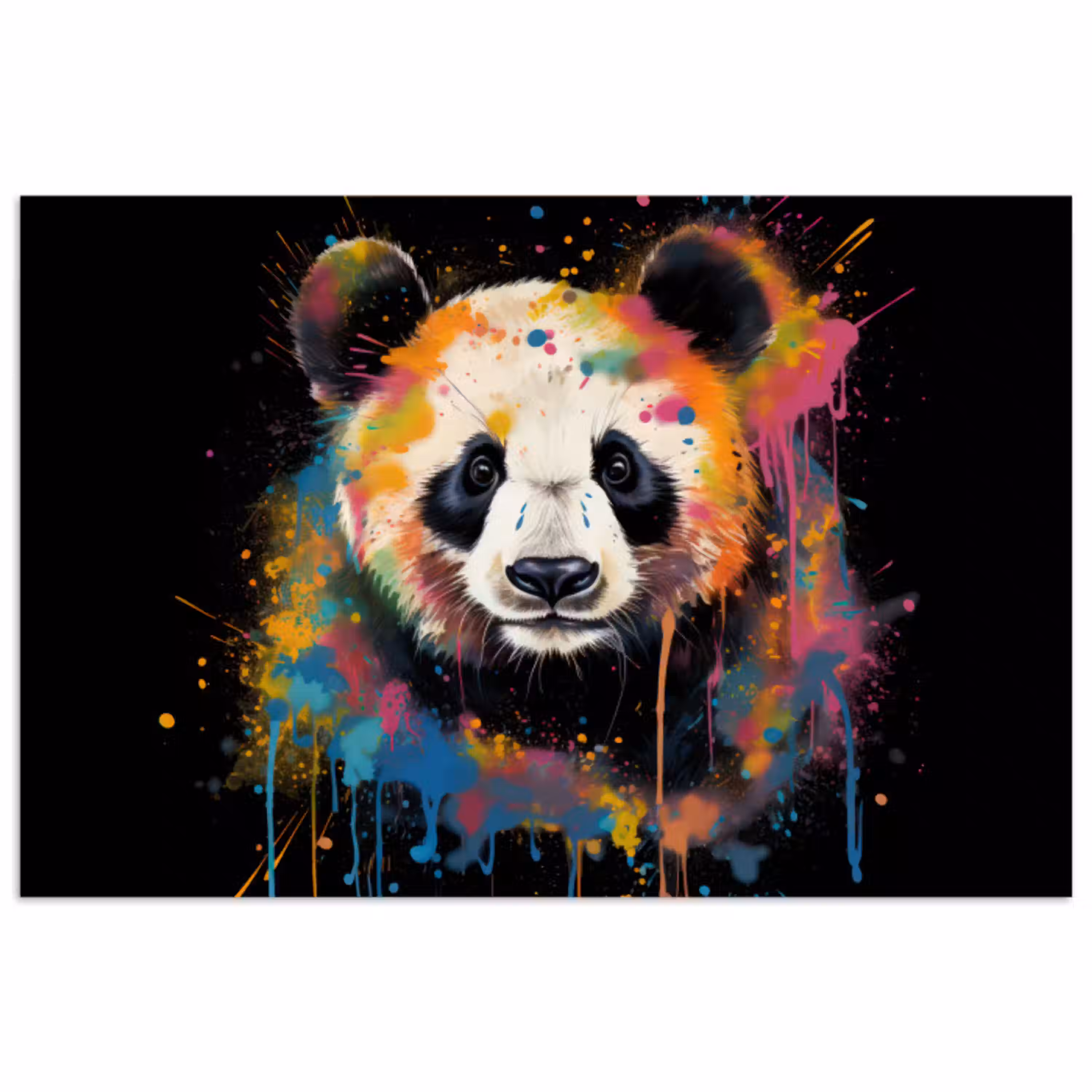 Panda - Graffiti - Dieren - Zwart - Kleuren poster papier klein -3d