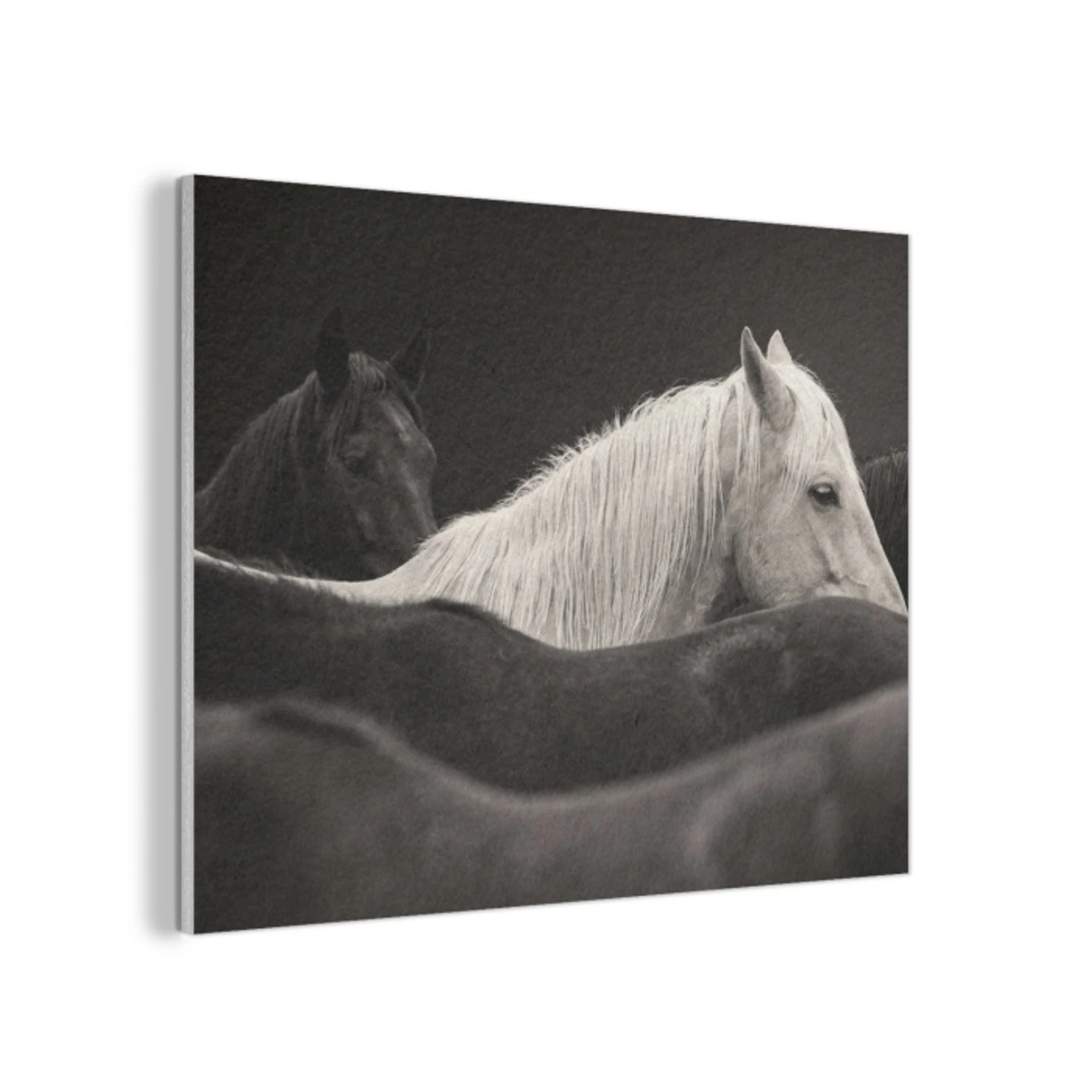 Paarden - Zwart - Wit - Kudde PET vilt klein -3d