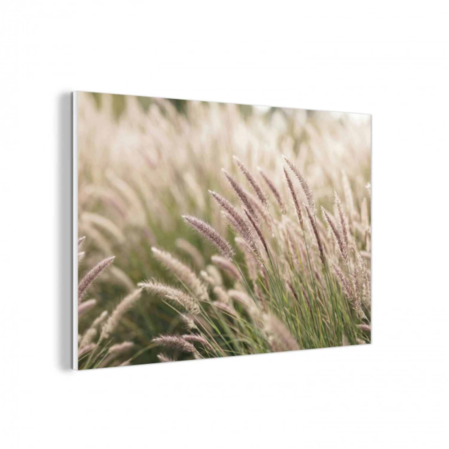 Gras - Close up - Groen forex 5mm xxl -3d