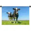 Koeien - Weiland - Gras - Dieren - Boerderij Wandkleed katoen klein -zz3d