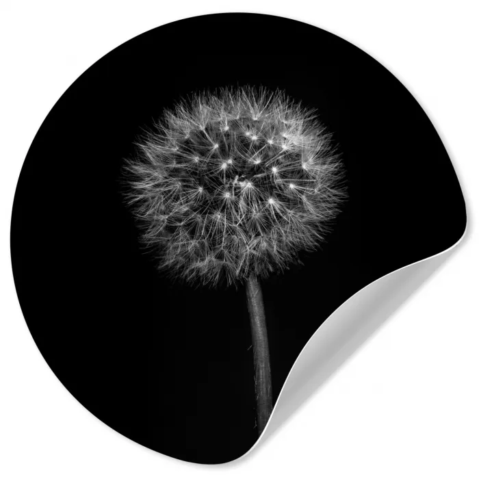 Paardenbloem - Zwart - Bloemen - Botanisch Wandcirkel behangsticker klein -3d