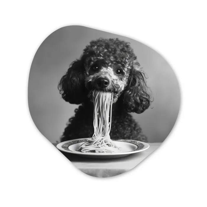 Poedel - Hond - Zwart - Wit - Schattig - Pasta Wandcirkel Organisch Plexiglas middel -3d