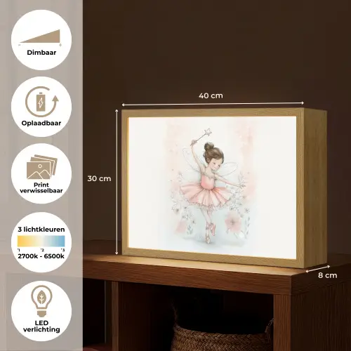 Ballerina - Fee - Roze Light Box met batterij (Wandlamp kind) middel -USP_websiteoverzichtNL