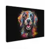 Graffiti - Hond - Zwart - Kleuren canvas 2cm klein -z3d