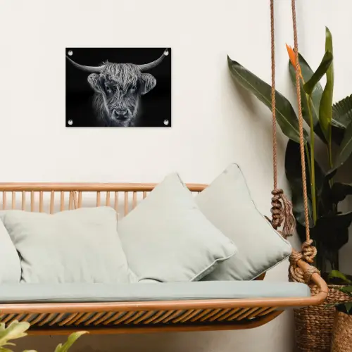 Schotse hooglander - Zwart - Koe - Dieren tuinposter los doek klein -sfeer7