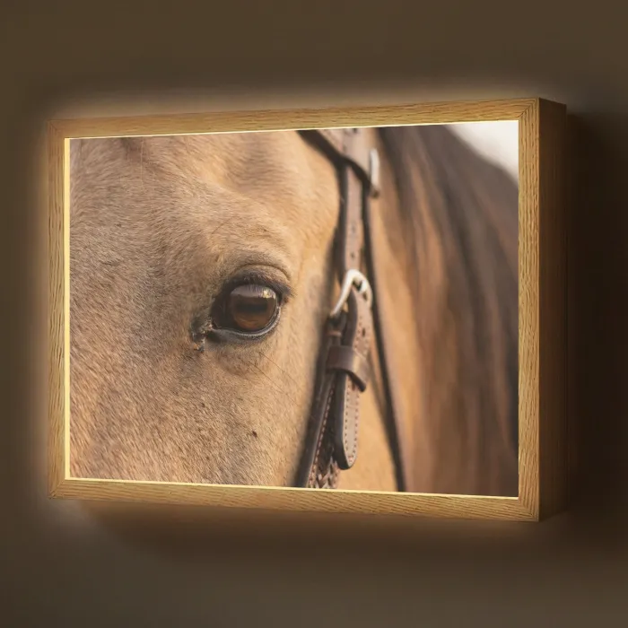 Paard - Oog - Bruin Light Box met batterij (Wandlamp) middel -z3d_website
