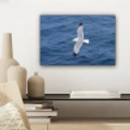 Zeemeeuw - Oceaan - Blauw canvas 2cm klein -sfeer6