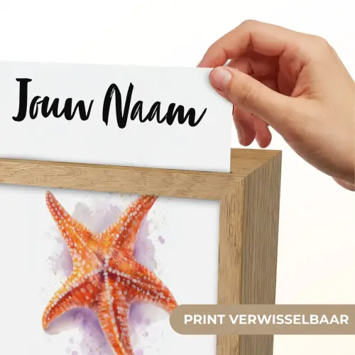 Zeester - Oranje - Paars Light Box met kabel (Kinderlampje) klein -USP_websiteprintNL