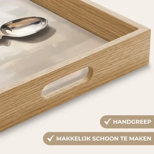 Lepel - Verf - Zilver Dienblad Rechthoek middel -USP_HandgreepNL