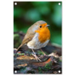 Roodborstje op een Boomstam tuinposter los doek klein -3d