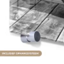 Olifant - Vintage - Dieren - Zwart - Wit plexiglas 5mm klein -zzsysteem_NL