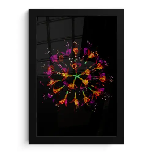 Bloemen - Oranje - Roze - Zwart fotolijst zwart zonder passe partout klein -3d