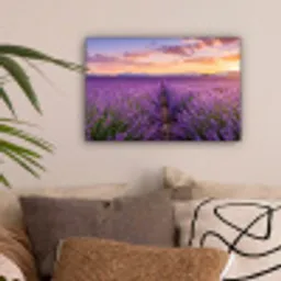 Lavendel - Veld - Natuur - Paars canvas 2cm klein -sfeer1