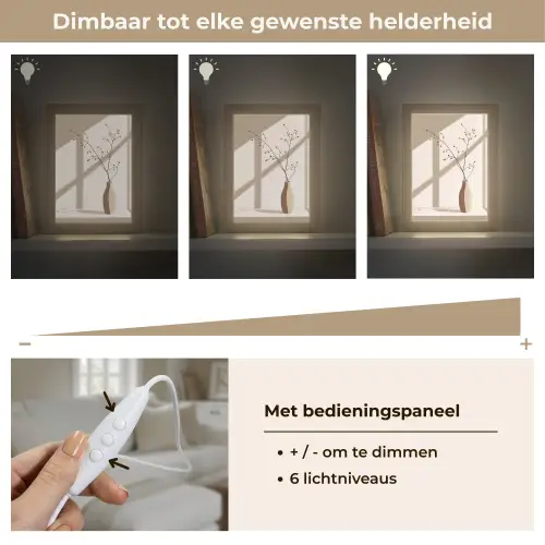 Vaas - Takken - Bessen - Minimalistisch Light Box met kabel (Tafellamp) klein -USP_dimbaarNL