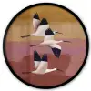 Vogels - Snavel - Abstract Fotolijst rond zonder passe partout klein -3d