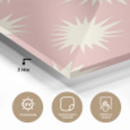 Zonnen - Patroon - Roze plexiglas 5mm klein 11 -wsfeer2_DE