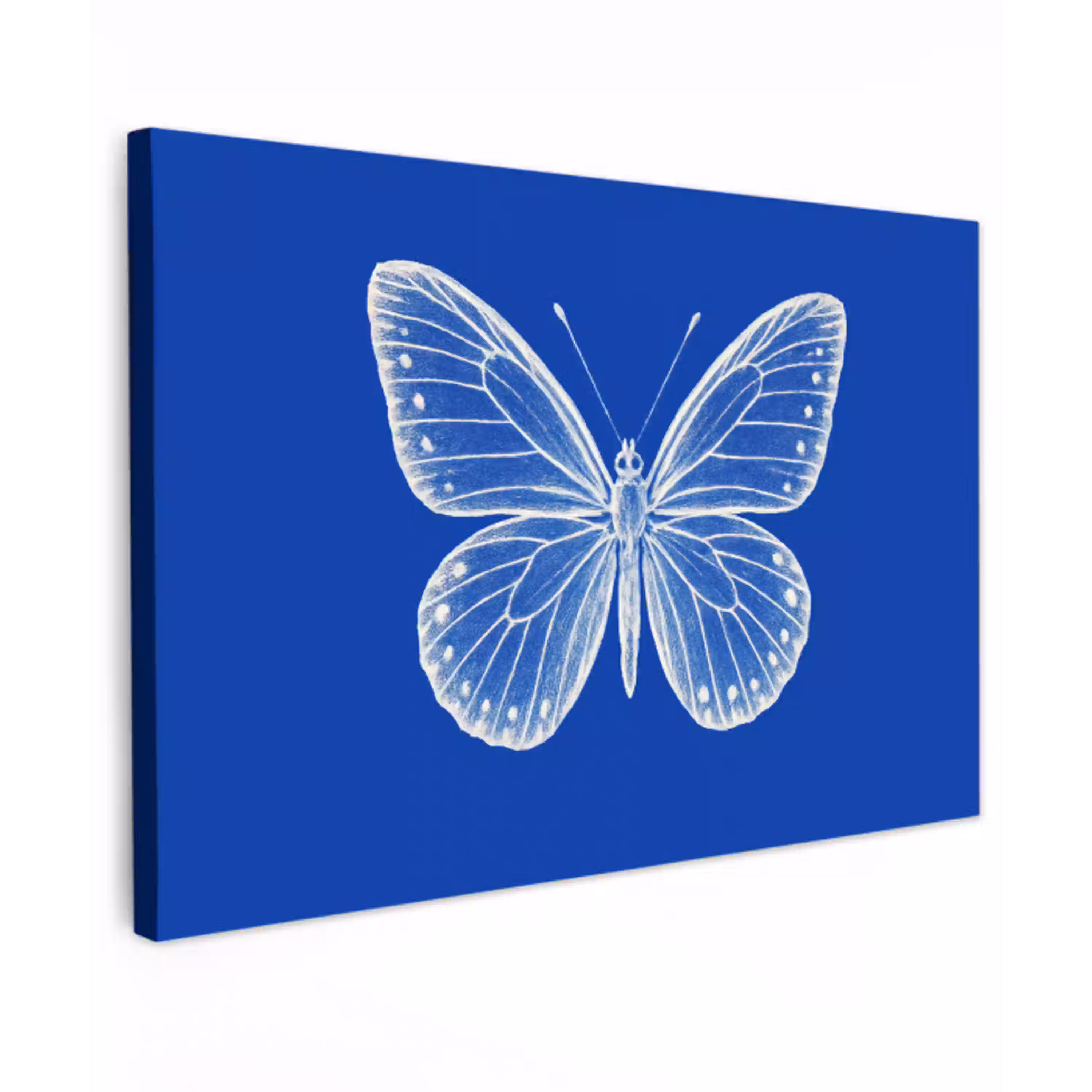 Vlinder - Wit - Getekend - Stippen canvas 2cm klein -z3d