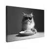 Langharige kat - Zonnebril - Spaghetti - Humor - Zwart - wit canvas 2cm klein -z3d