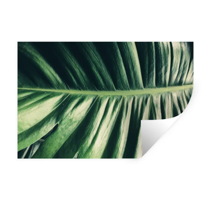 Bladeren - Tropisch - Jungle Muursticker klein -3d