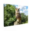 Uil - Boomstronk - Bos - Lucht Tuinposter op houten frame 2 cm dik klein -3d