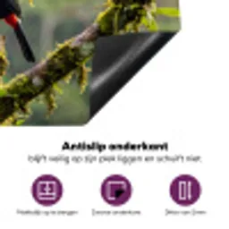 Toekan - Jungle - Natuur - Kleurrijk Inductie beschermer vinyl 3mm klein -zzzzzzz-cc-onderkant