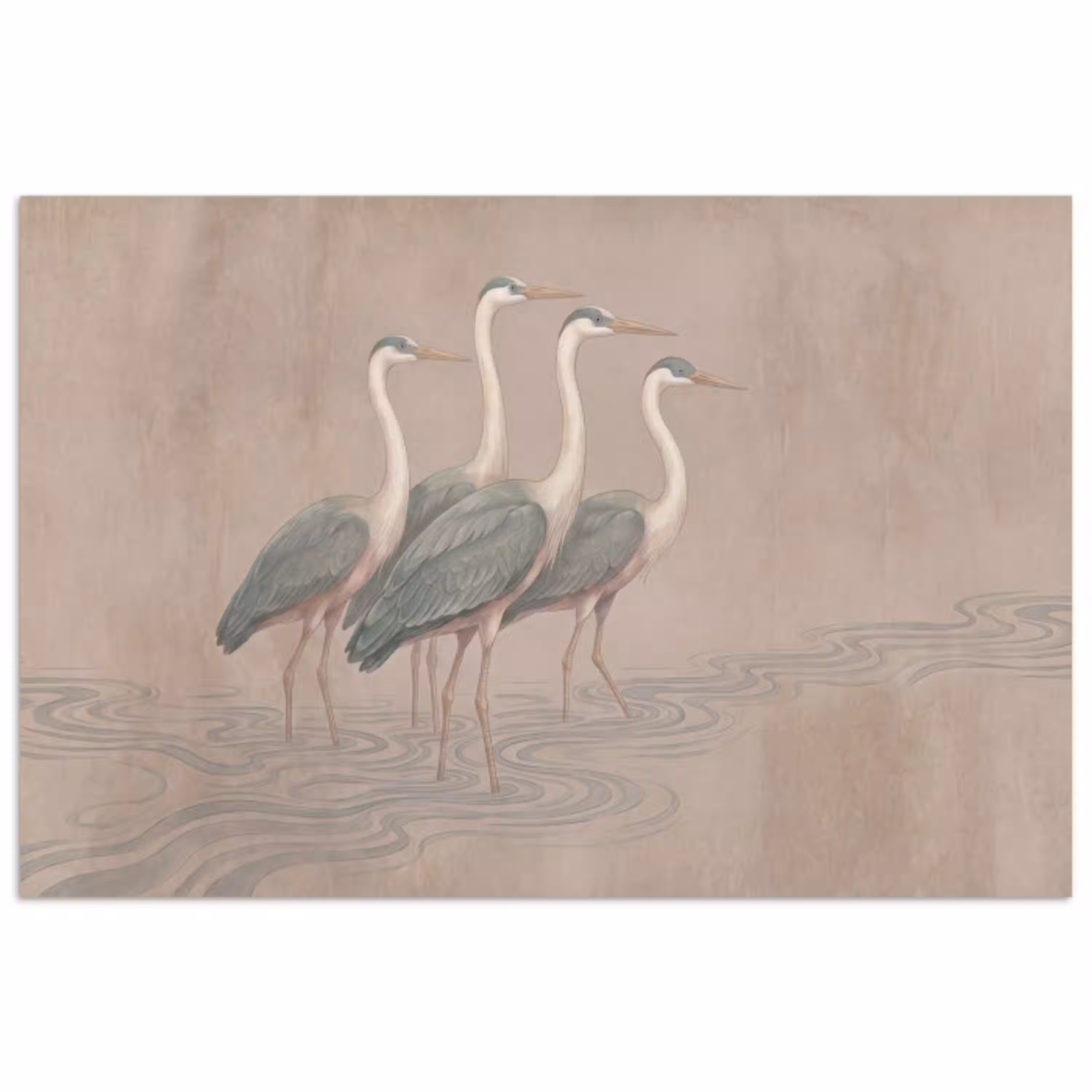 Vogel - Water - Natuur - Vintage poster papier klein -3d