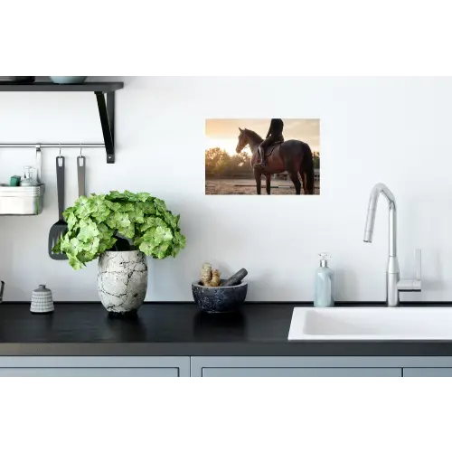 Harmonie - Ruiter - Zon Muursticker klein -keuken