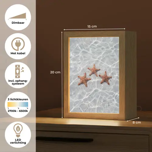 Zeesterren - Water - Helder Light Box met kabel (Tafellamp) klein -USP_NL