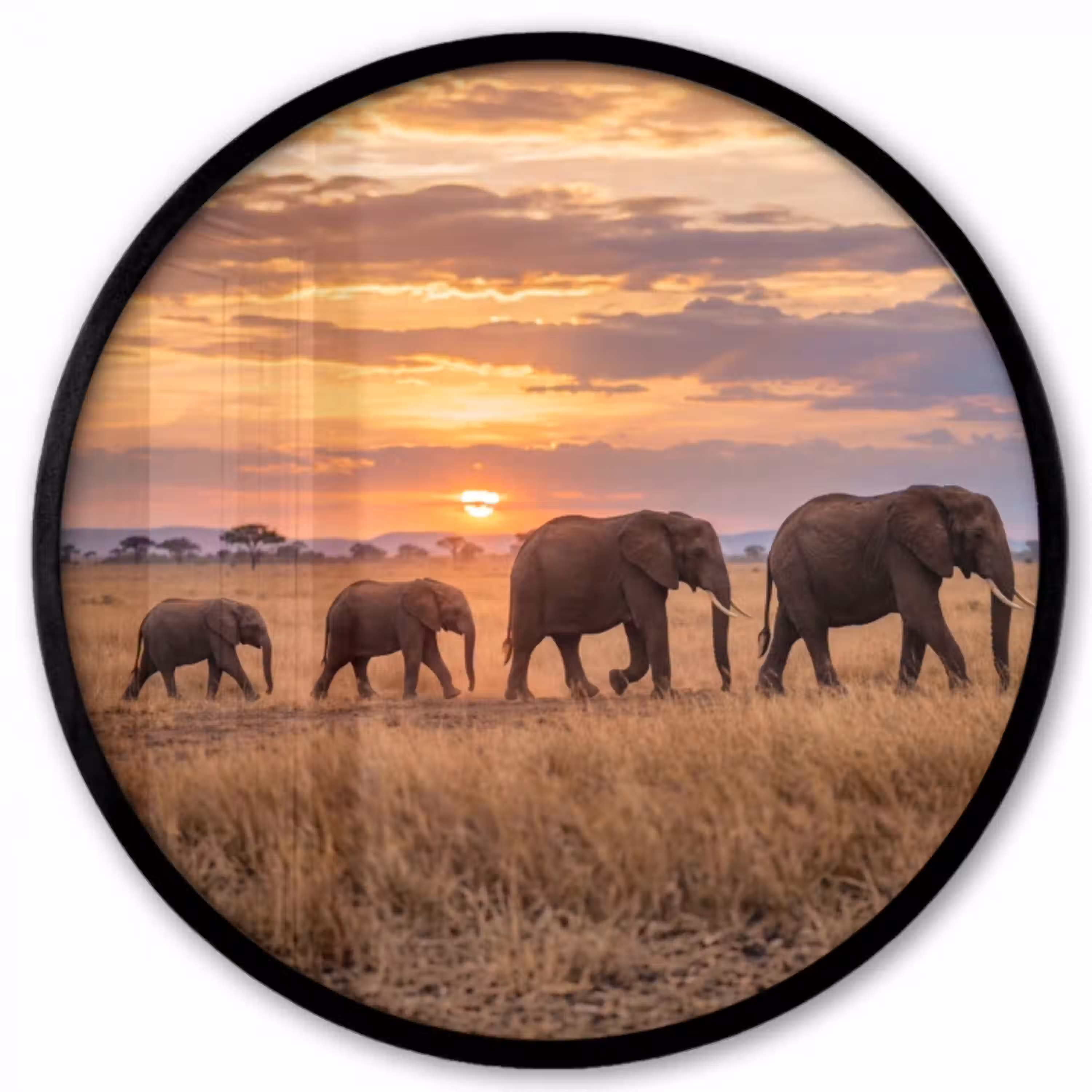 Olifanten - Savanne - Zonsondergang - Afrika - Warm Fotolijst rond zonder passe partout klein -3d
