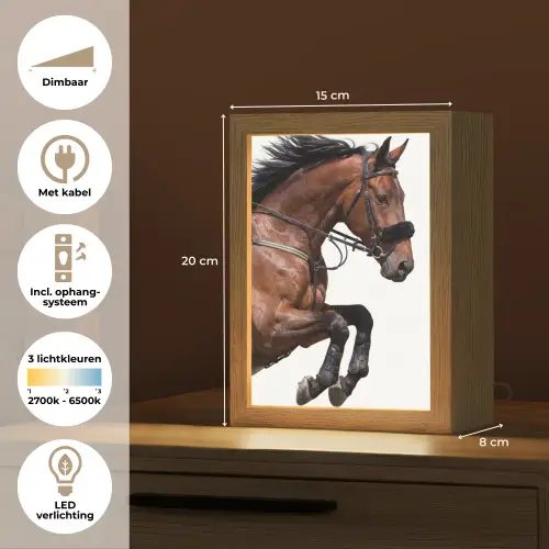Paard - Springen - Modern Light Box met kabel (Tafellamp) klein -USP_NL