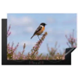 Roodborsttapuit - Heide - Paars - Natuur - Sfeervol Inductie beschermer vinyl 3mm klein -3d