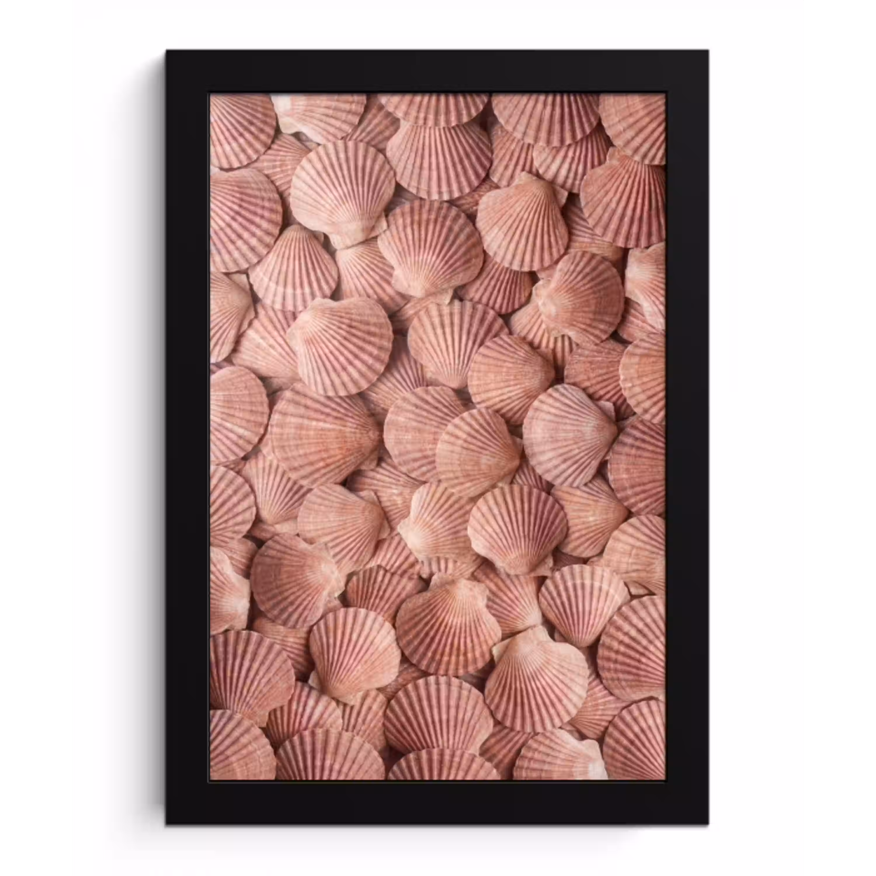 Schelpen - Patroon - Roze fotolijst zwart zonder passe partout klein -3d