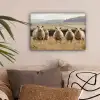 Schapen - Weidenlandschap - Heuvels canvas 2cm klein -sfeer1