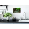 Jungle - Waterval - Planten - Water - Natuur Muursticker klein -keuken