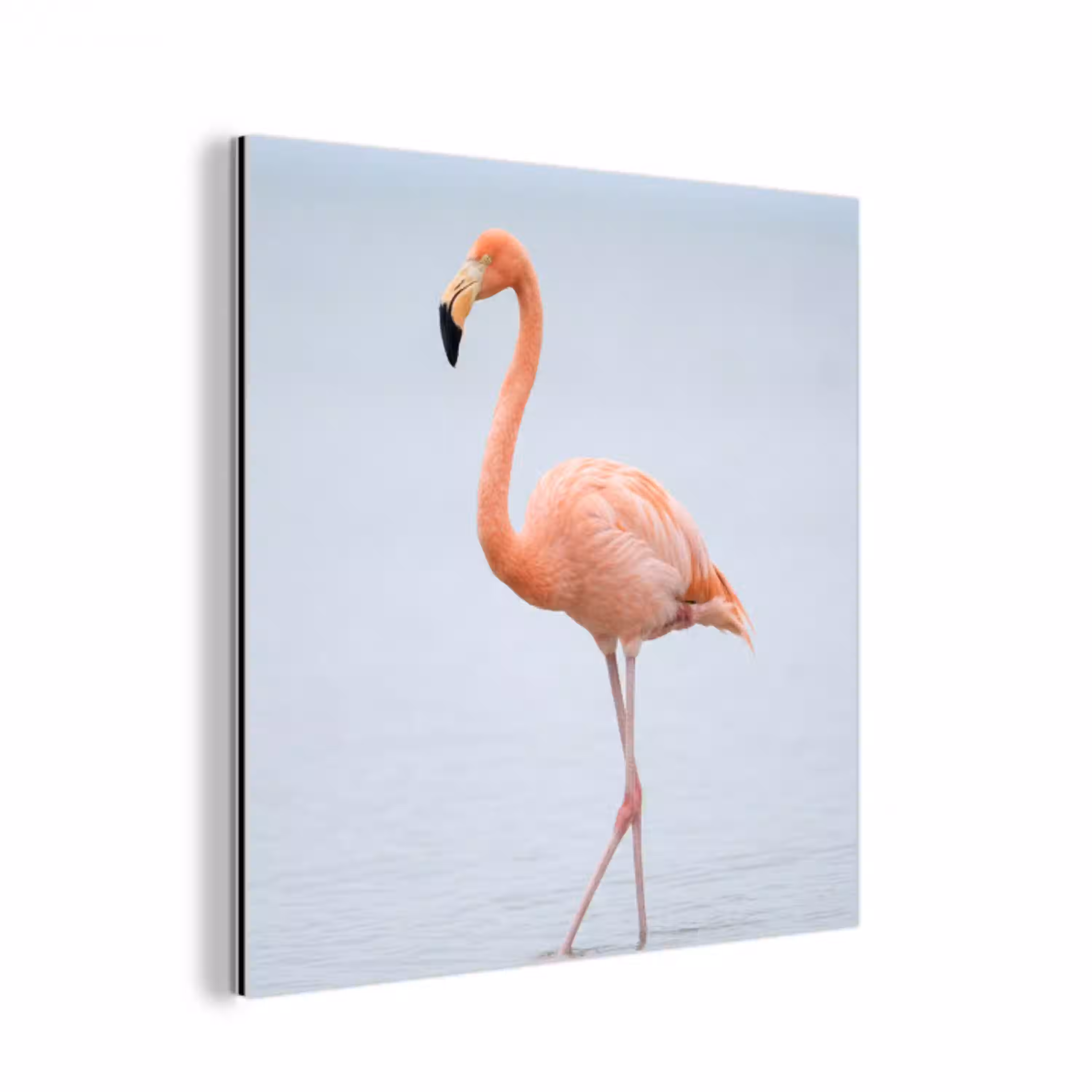 Flamingo - Zee - Roze aluminium wit klein -3d