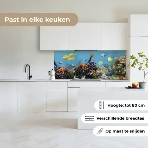 Water - Koralen - Vissen - Lichtinval keuken achterwand 2 middel -sfeer4_NL