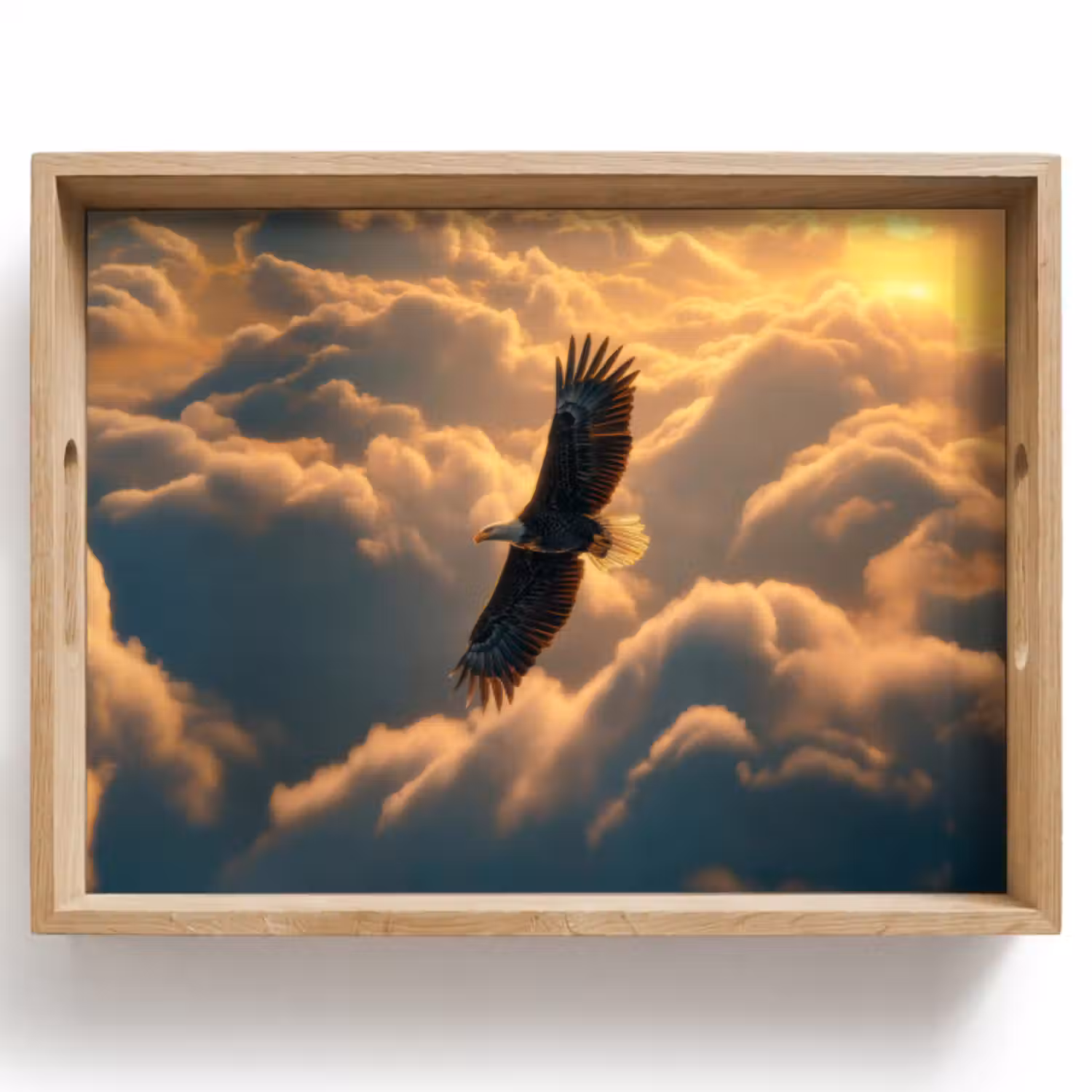 Dienblad - Adelaar - Wolken - Zon